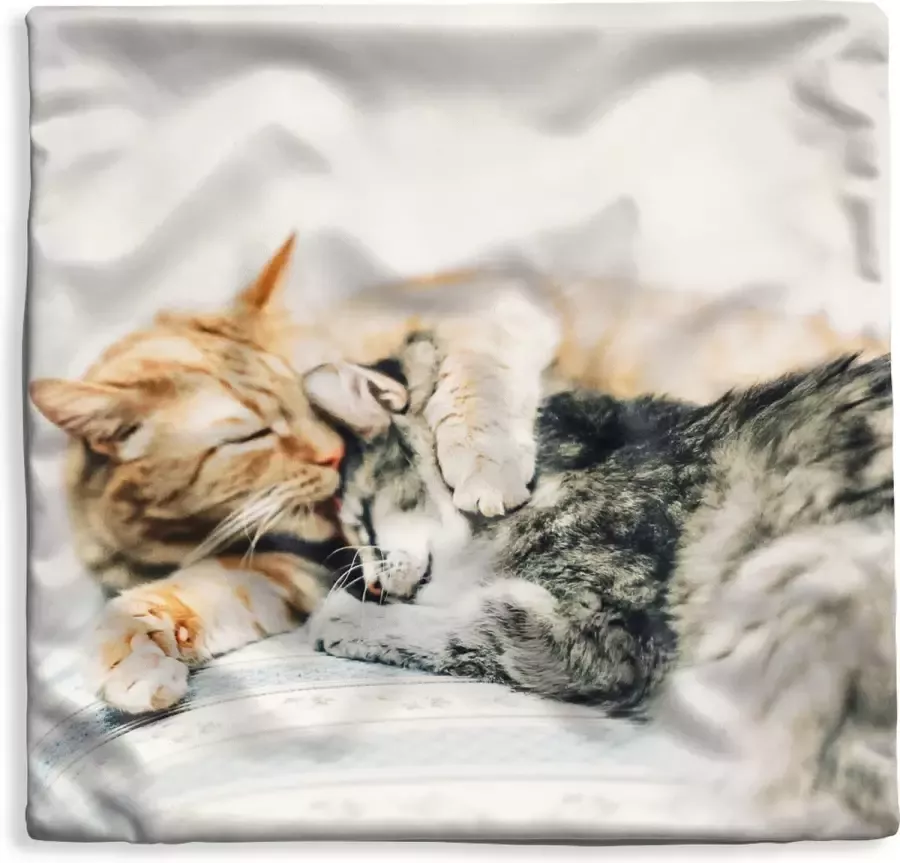 PillowMonkey Kussenhoes 60x60 cm Katten Bank Woonkamer Katoen Polyester Voor Binnen