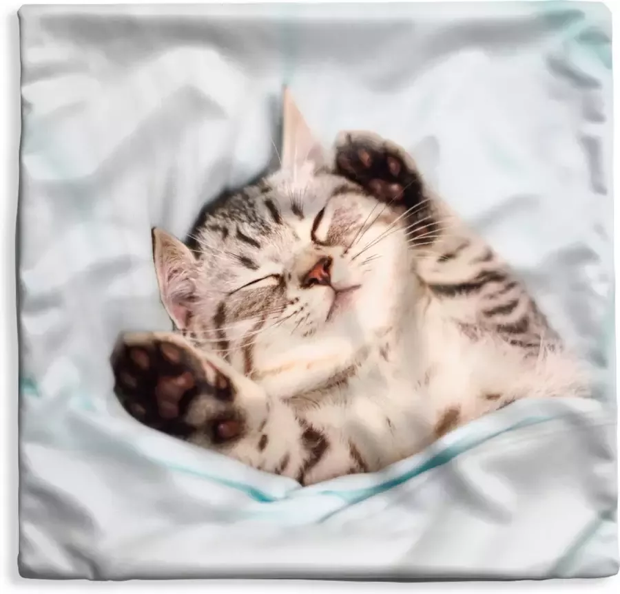 PillowMonkey Kussenhoes 60x60 cm Kitten Grappig Bed Kinderen Jongens Meisjes Kids Katoen Polyester Voor Binnen
