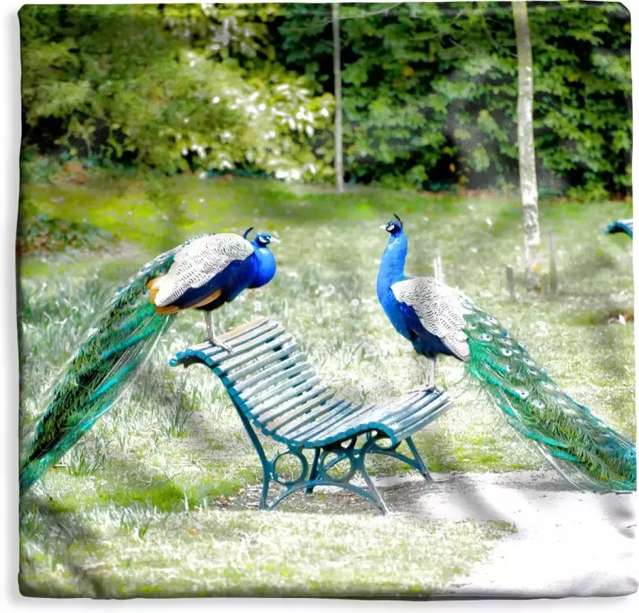PillowMonkey Kussenhoes 60x60 cm Pauw Bank Park Katoen Polyester Voor Binnen
