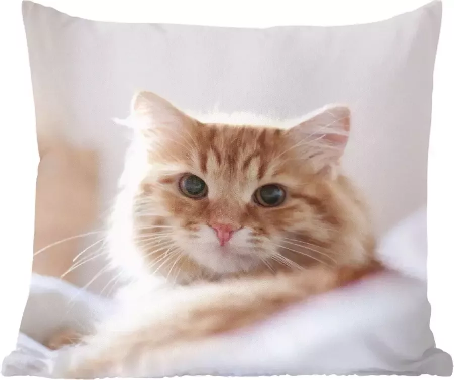 PillowMonkey Sierkussens Kussentjes Woonkamer 50x50 cm Kat Rood Bed Meisjes Kinderen Jongens Kids