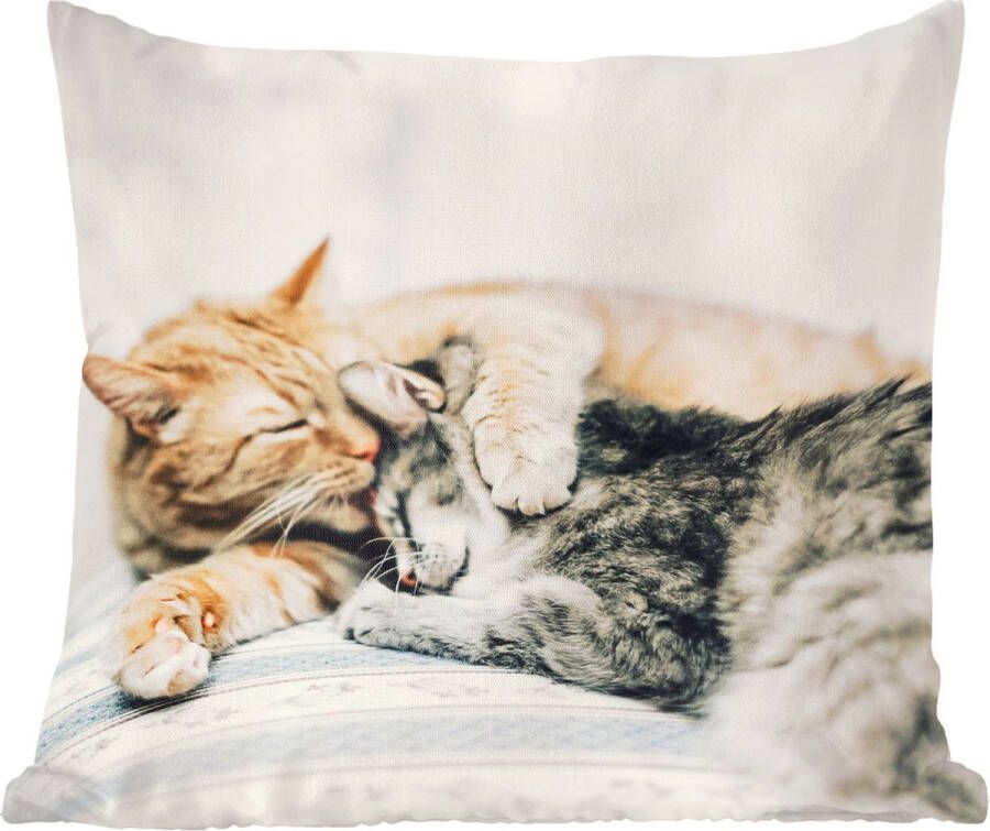 PillowMonkey Sierkussen Katten Bank Woonkamer Multicolor 45 Cm X 45 Cm