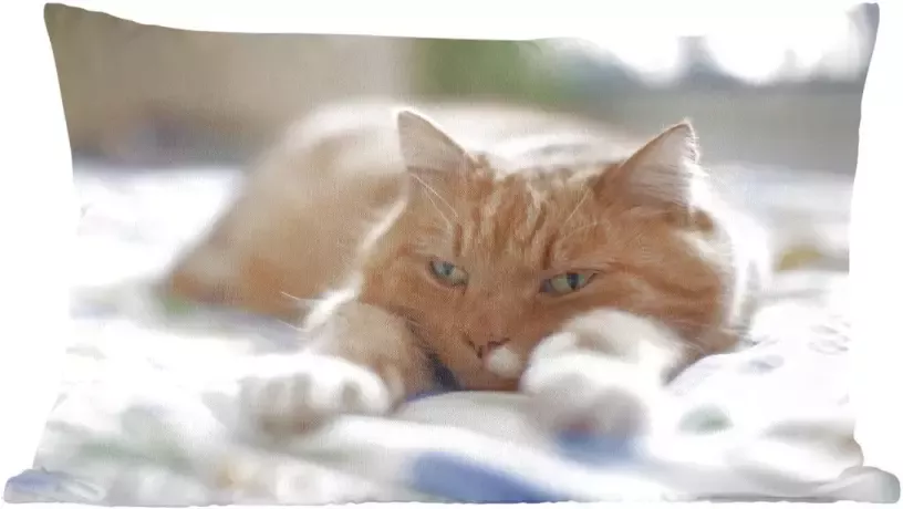 PillowMonkey Sierkussen Katten voor binnen Kat ontspannen op bed 50x30 cm rechthoekig binnenkussen van katoen