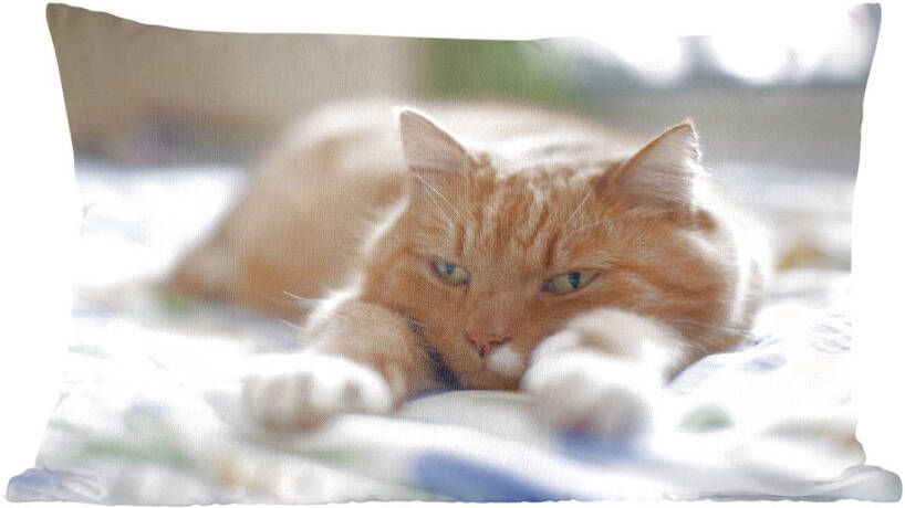 PillowMonkey Sierkussen Katten voor binnen Kat ontspannen op bed 60x40 cm rechthoekig binnenkussen van katoen