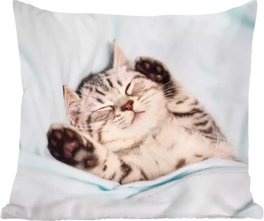 PillowMonkey Sierkussens Kussentjes Woonkamer 50x50 cm Kitten Bed Poten Meisjes Kinderen Jongens Kind