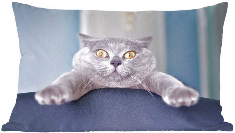 PillowMonkey Sierkussens Kussen Angstige kat hangend aan stoel 60x40 cm Kussen van katoen
