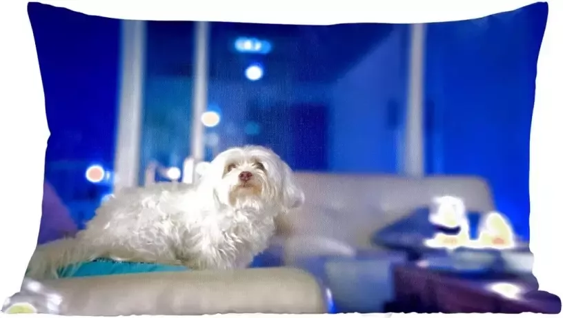 PillowMonkey Sierkussens Kussen Een witte Maltezer hond op een witte bank 50x30 cm Kussen van katoen