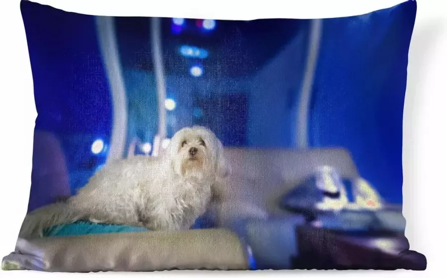PillowMonkey Sierkussens Kussen Een witte Maltezer hond op een witte bank 60x40 cm Kussen van katoen