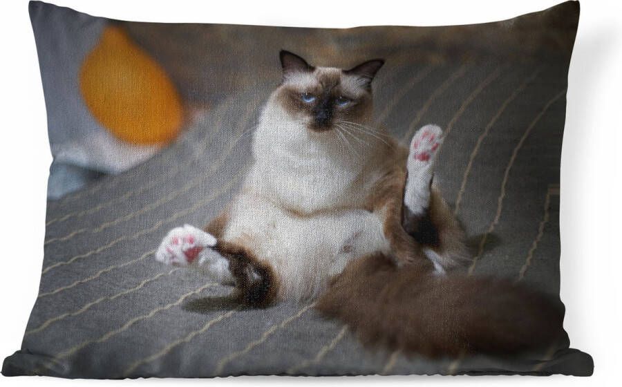 PillowMonkey Sierkussens Kussen Kat in een bed 60x40 cm Kussen van katoen