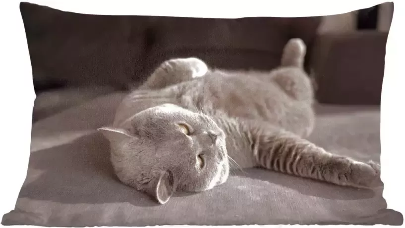 PillowMonkey Sierkussens Kussen Kat op een grijze stoel 50x30 cm Kussen van katoen