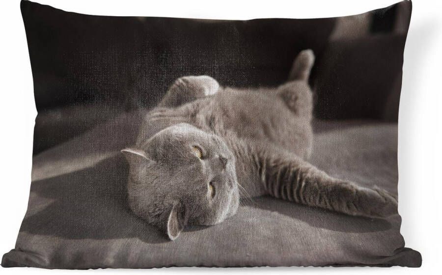 PillowMonkey Sierkussens Kussen Kat op een grijze stoel 60x40 cm Kussen van katoen - Foto 1