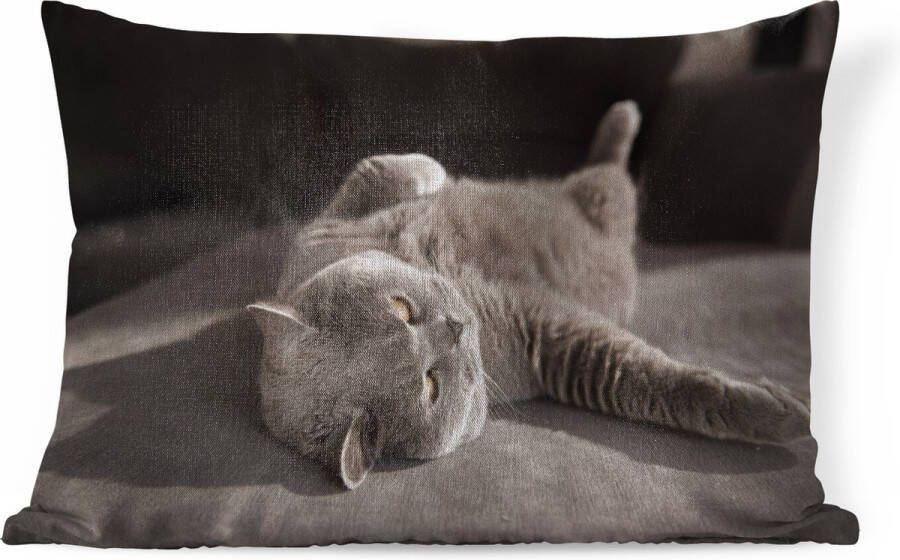 PillowMonkey Sierkussens Kussen Kat op een grijze stoel 60x40 cm Kussen van katoen