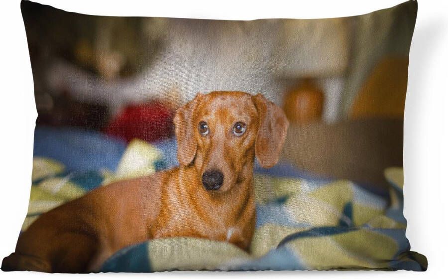 PillowMonkey Sierkussens Kussen Teckel die op een bed ligt 60x40 cm Kussen van katoen