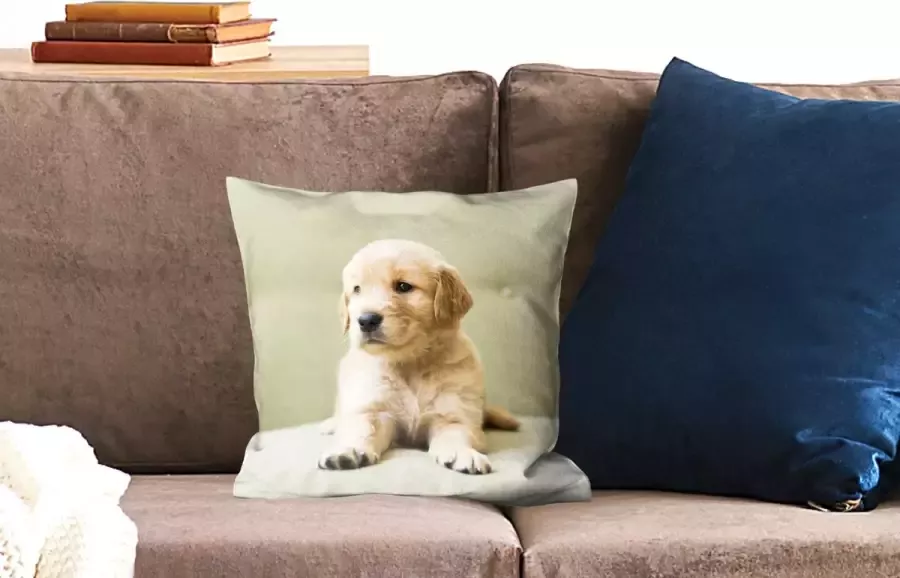 PillowMonkey Sierkussens Kussentjes Woonkamer 40x40 cm Golden Retriever puppy liggend op de bank