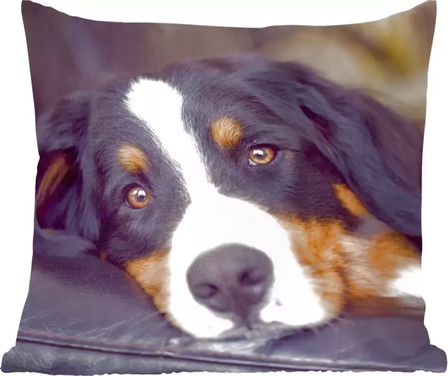 PillowMonkey Sierkussens Kussentjes Woonkamer 45x45 cm Een Berner Sennenhond liggend op de bank