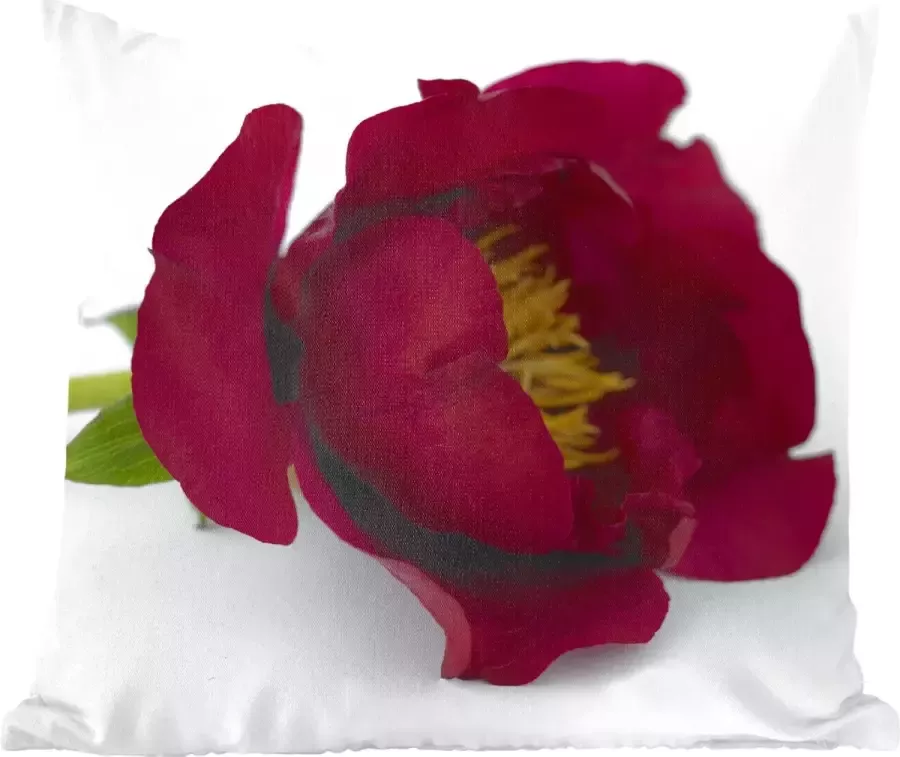 PillowMonkey Sierkussens Kussentjes Woonkamer 45x45 cm Een rode pioenroos op een witte tafel