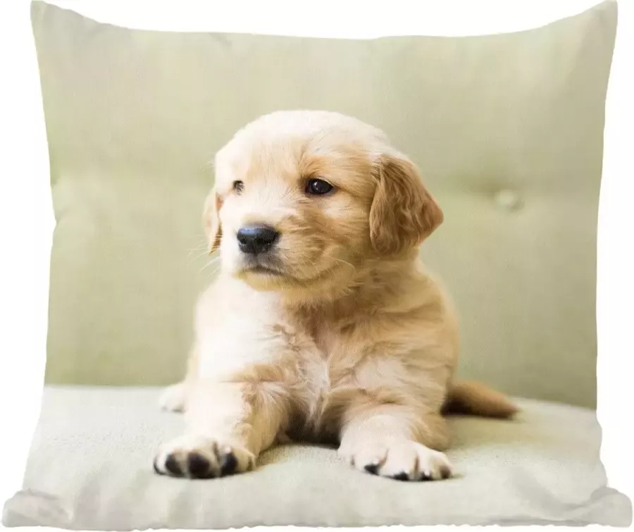 PillowMonkey Sierkussens Kussentjes Woonkamer 50x50 cm Golden Retriever puppy liggend op de bank
