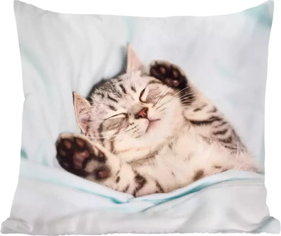 PillowMonkey Sierkussens Kussentjes Woonkamer 50x50 cm Kitten Grappig Bed Kinderen Jongens Meisjes Kids