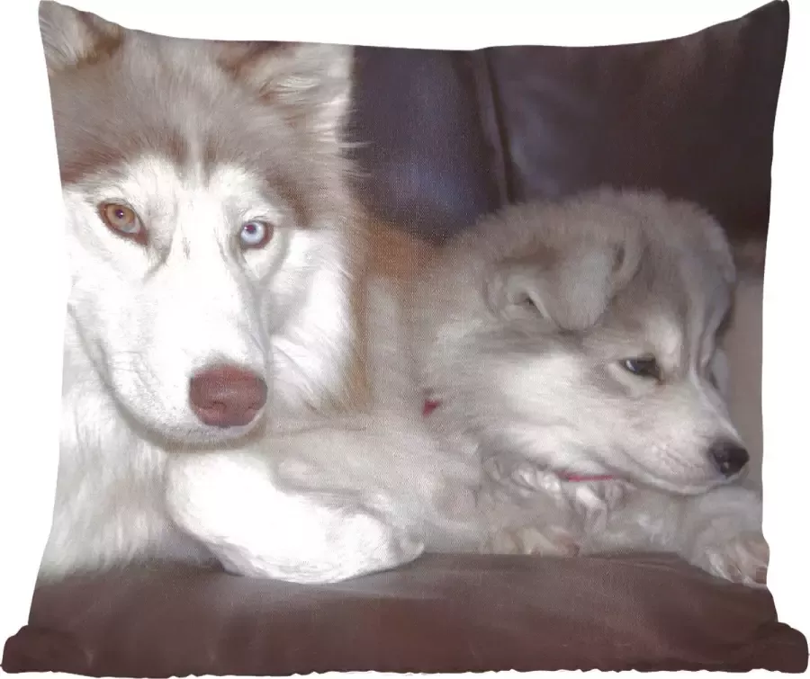 PillowMonkey Sierkussens Kussentjes Woonkamer 60x60 cm Grote hond met een kleine pup op de bank