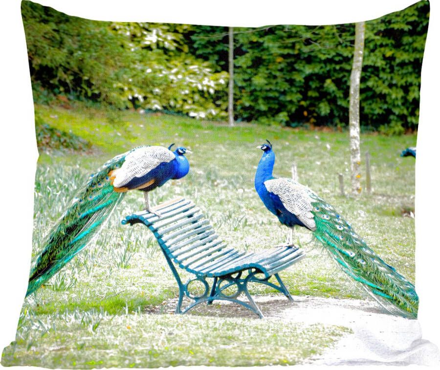 PillowMonkey Sierkussens Kussentjes Woonkamer 60x60 cm Pauw Bank Park