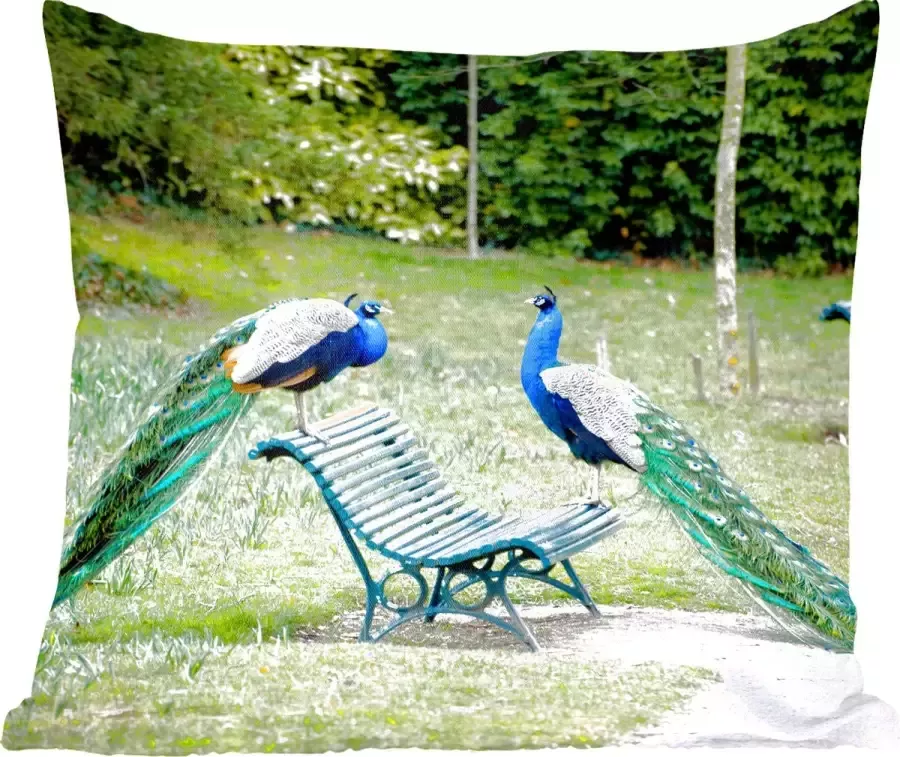 PillowMonkey Sierkussens Kussentjes Woonkamer 60x60 cm Pauw Bank Park