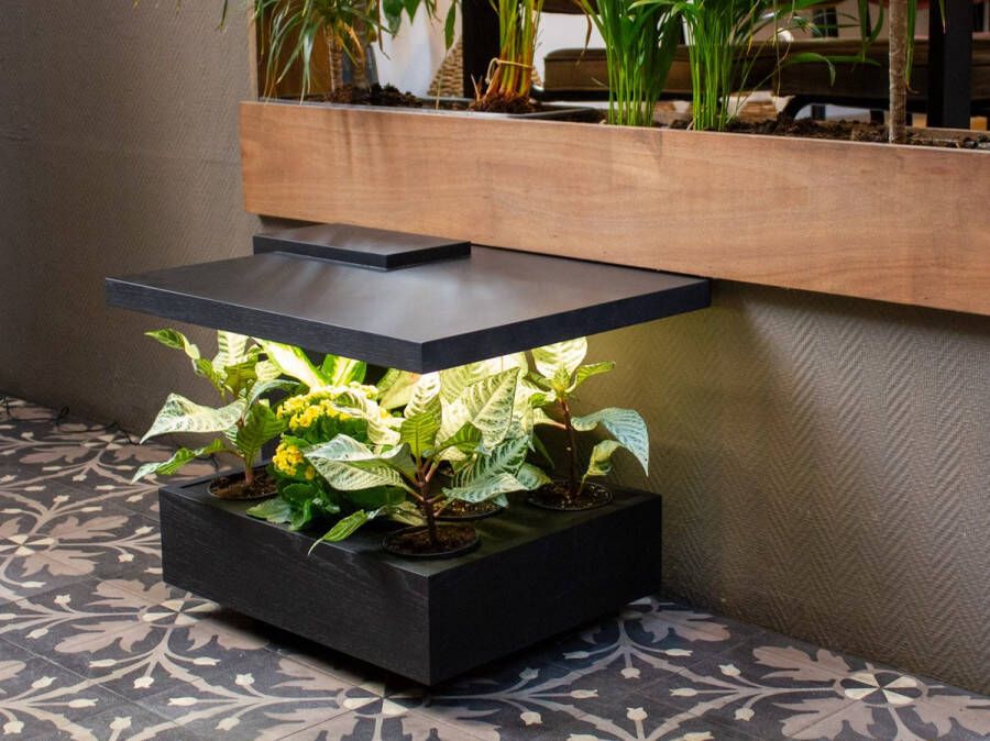 Pluk Design Pluk One Plant-Table Zwart De ultieme indoor gardening ervaring! Combineer Dutch Design met planten. Onderhoud je tuin op een stylish manier