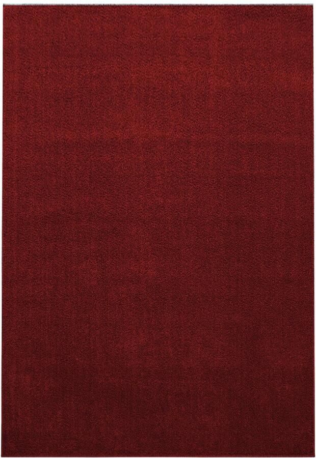 Pochon Tapijt Ata Rood 230x160x1 1 Vloerkleed Effen Hoogpolige Vloerkleed Rechthoekige Tapijt Rechthoekige Vloerkleed