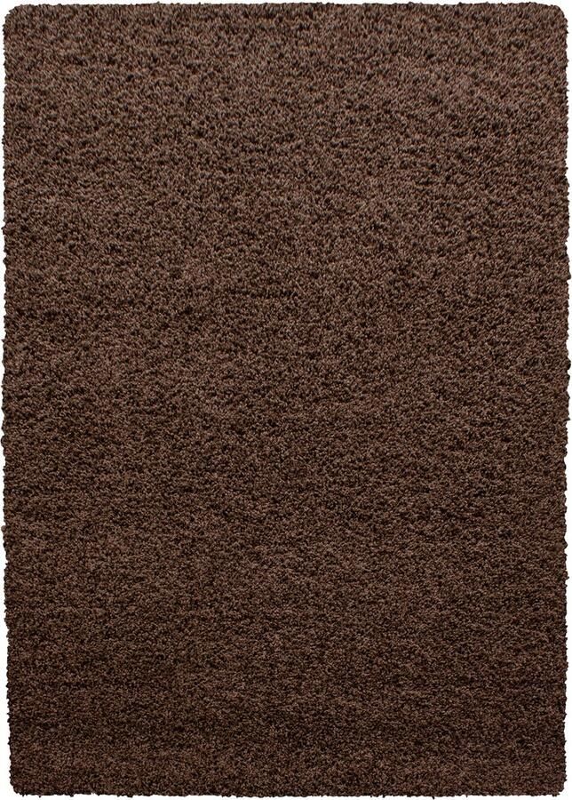 Pochon Tapijt Life Bruin 400x300x3 Vloerkleed Effen Hoogpolige Vloerkleed Rechthoekige Tapijt Rechthoekige Vloerkleed