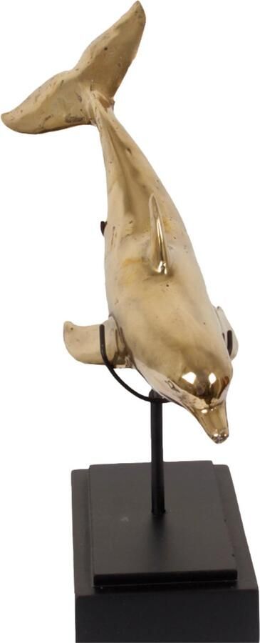 Pole to Pole Carpet 430 S