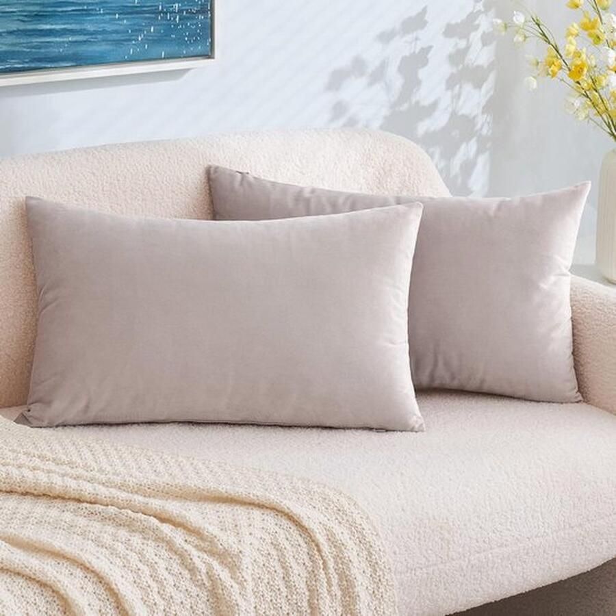 PolkaHome Fluwelen kussensloop decoratieve kussensloop bankkussen lendenkussen kussenhoes met verborgen ritssluiting slaapkamer bank set van 2 stuks 40 x 60 cm harthout