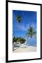 PosterMonkey Foto in lijst Twee palmbomen op het strand met een hangmat fotolijst zwart 80x120 cm Poster in lijst (Wanddecoratie woonkamer slaapkamer) Zee en Strand - Thumbnail 2