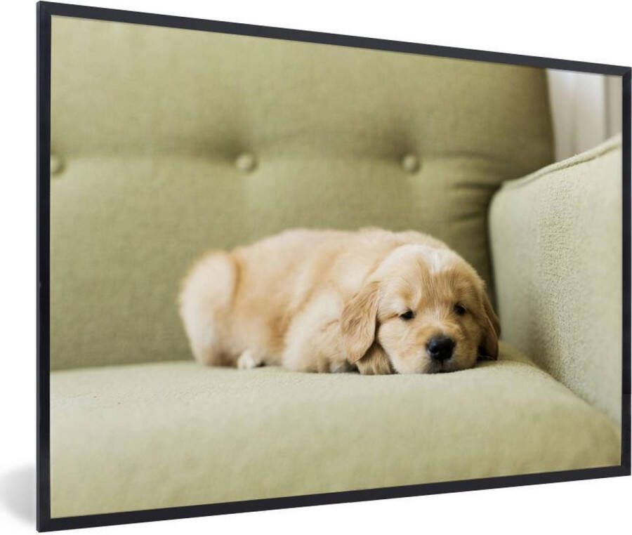 PosterMonkey Fotolijst incl. Poster Een slapende Golden Retriever puppy op de bank 30x20 cm Posterlijst