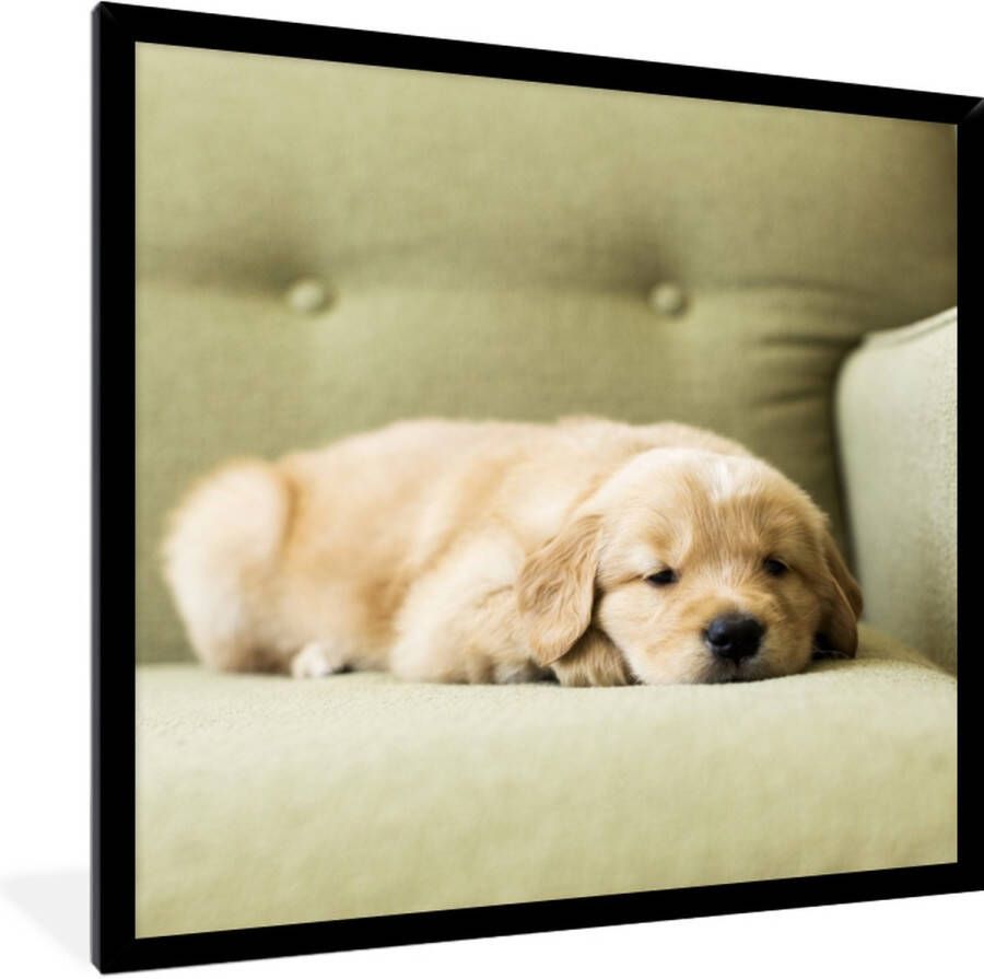 PosterMonkey Fotolijst incl. Poster Een slapende Golden Retriever puppy op de bank 40x40 cm Posterlijst