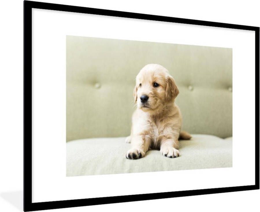 PosterMonkey Fotolijst incl. Poster Golden Retriever puppy liggend op de bank 120x80 cm Posterlijst