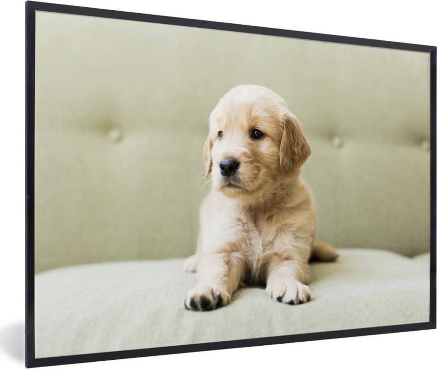 PosterMonkey Fotolijst incl. Poster Golden Retriever puppy liggend op de bank 30x20 cm Posterlijst