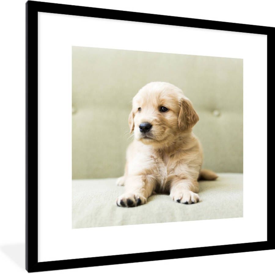 PosterMonkey Fotolijst incl. Poster Golden Retriever puppy liggend op de bank 40x40 cm Posterlijst