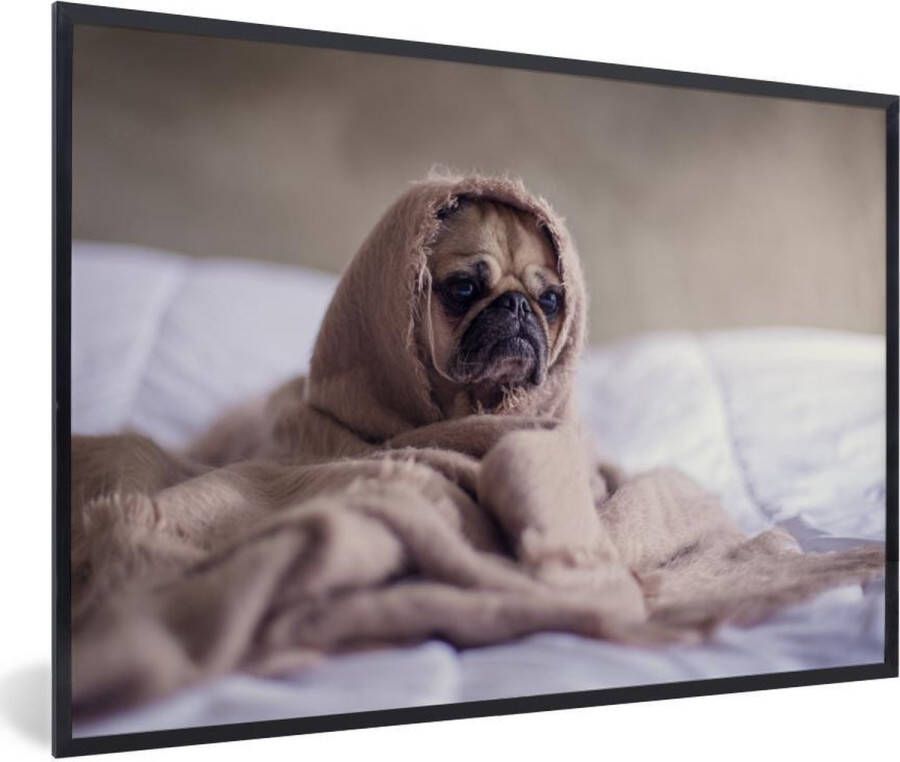 PosterMonkey Fotolijst incl. Poster Hond Deken Bed 120x80 cm Posterlijst