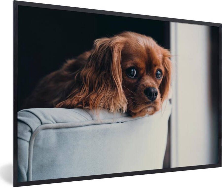 PosterMonkey Fotolijst incl. Poster Hond Stoel Kop 120x80 cm Posterlijst