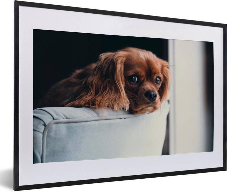 PosterMonkey Fotolijst incl. Poster Hond Stoel Kop 60x40 cm Posterlijst