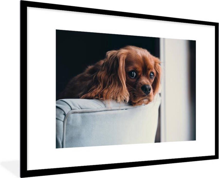 PosterMonkey Fotolijst incl. Poster Hond Stoel Kop 90x60 cm Posterlijst