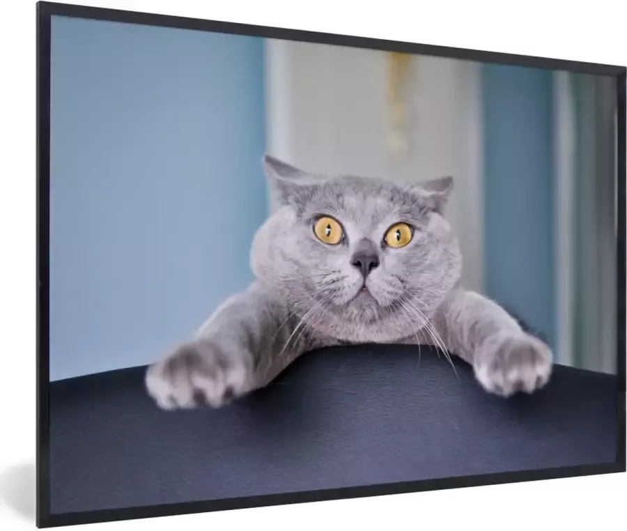 PosterMonkey Fotolijst incl. Poster Kat Bang Stoel 30x20 cm Posterlijst