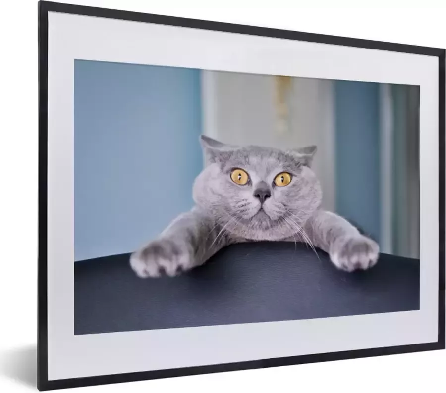 PosterMonkey Fotolijst incl. Poster Kat Bang Stoel 40x30 cm Posterlijst