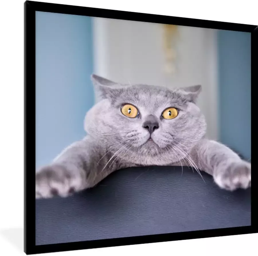 PosterMonkey Fotolijst incl. Poster Kat Bang Stoel 40x40 cm Posterlijst - Foto 2