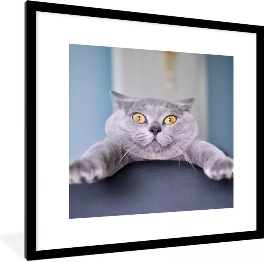 PosterMonkey Fotolijst incl. Poster Kat Bang Stoel 40x40 cm Posterlijst