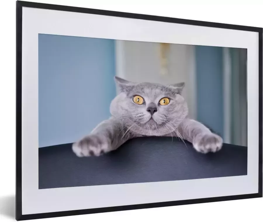 PosterMonkey Fotolijst incl. Poster Kat Bang Stoel 60x40 cm Posterlijst