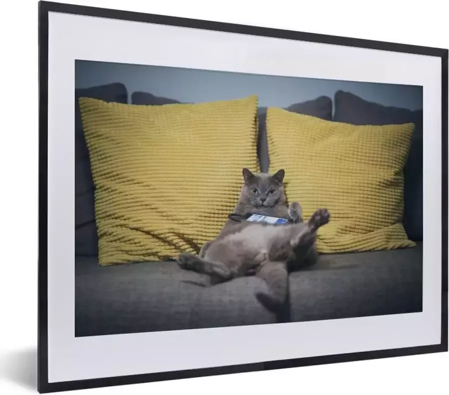 PosterMonkey Fotolijst incl. Poster Kat Bank Lui 40x30 cm Posterlijst