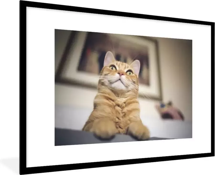 PosterMonkey Fotolijst incl. Poster Kat Bank Oranje 120x80 cm Posterlijst - Foto 2