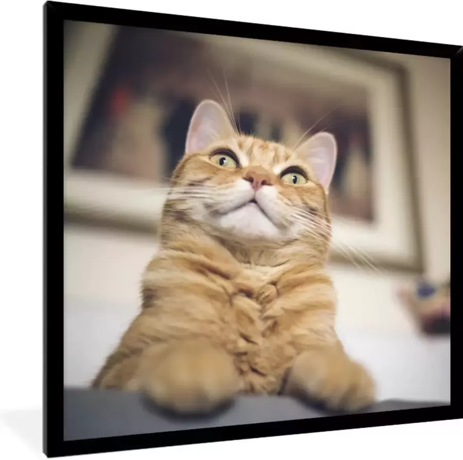 PosterMonkey Fotolijst incl. Poster Kat Bank Oranje 40x40 cm Posterlijst - Foto 2