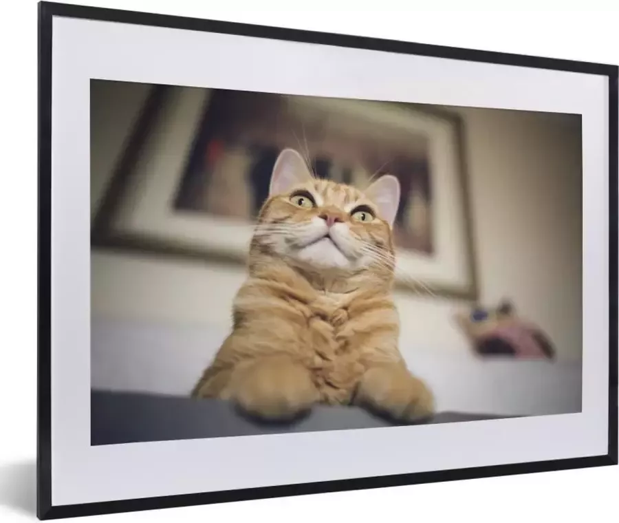 PosterMonkey Fotolijst incl. Poster Kat Bank Oranje 60x40 cm Posterlijst
