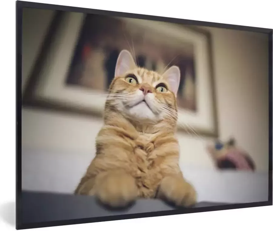 PosterMonkey Fotolijst incl. Poster Kat Bank Oranje 90x60 cm Posterlijst