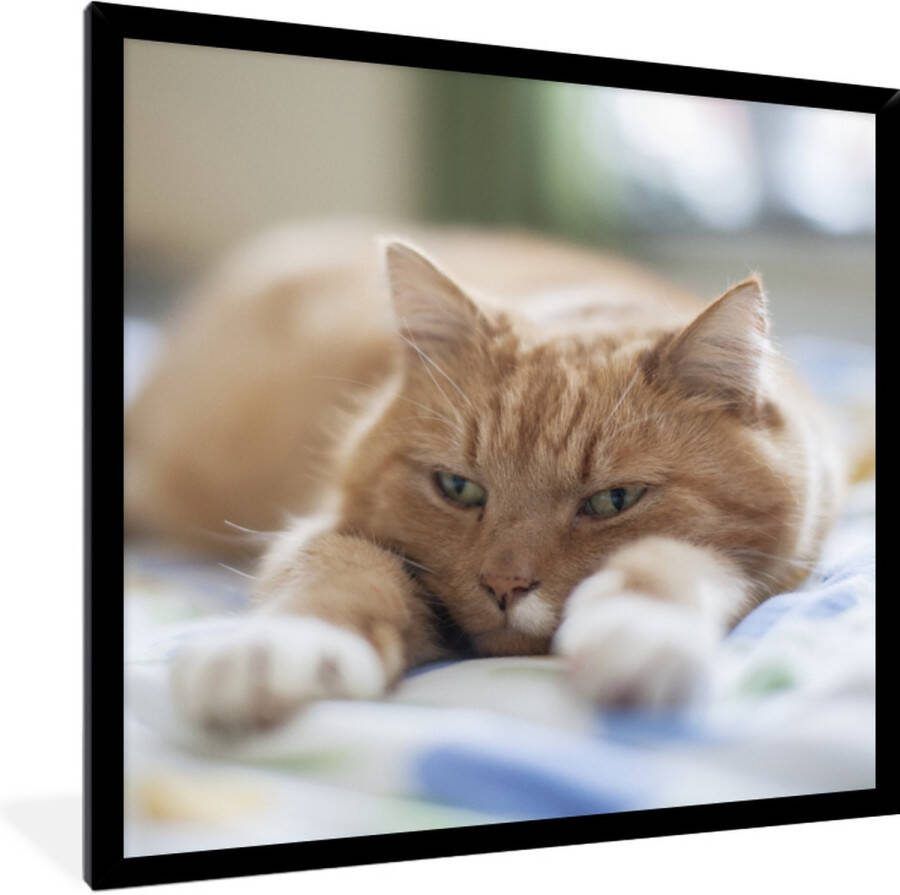 Poster in lijst Fotolijst 40x40 cm Posters Kat Bed Bedsprei Meisjes Kinderen Jongens Kind Posterlijst zwart Decoratie Wanddecoratie woonkamer Muurdecoratie slaapkamer
